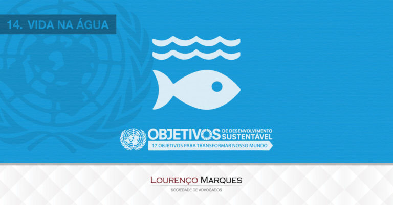 17 Objetivos da ONU para Transformar Nosso Mundo até 2030: Objetivo 14